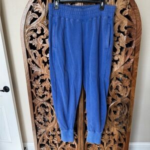 FP Movement Women’s Blue Jogger Pants
